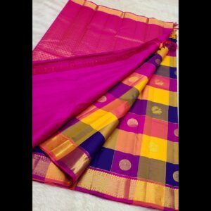 Kanchipuram 100% Pure Handwoven 2G Palum Pazhamum Multi Colour Pattern Silk Sarees- Multicolor